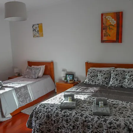 Prázdninový dům Martins House Vila Vicosa (Arouca)