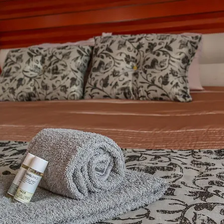 Martins House Vila Vicosa (Arouca)