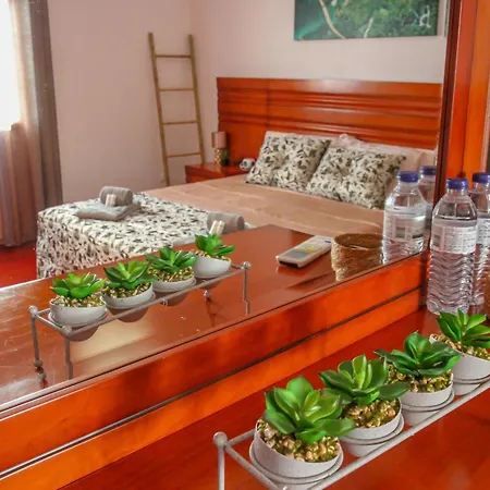 Martins House * Vila Vicosa (Arouca)