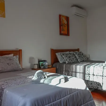 Martins House Vila Vicosa (Arouca)