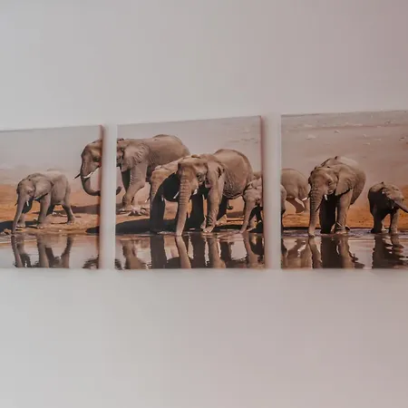 Martins House * Vila Vicosa (Arouca)