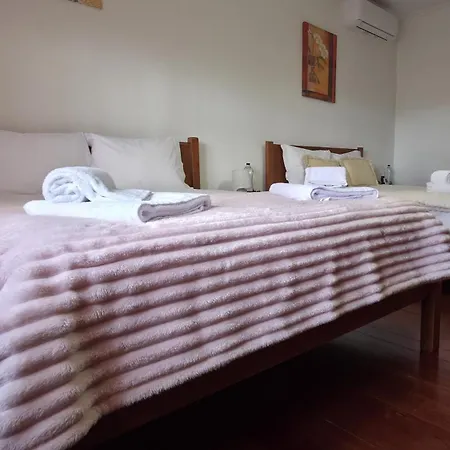 Martins House Vila Vicosa (Arouca)