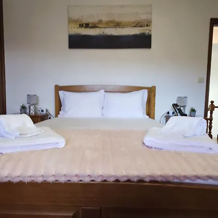 Martins House * Vila Vicosa (Arouca)