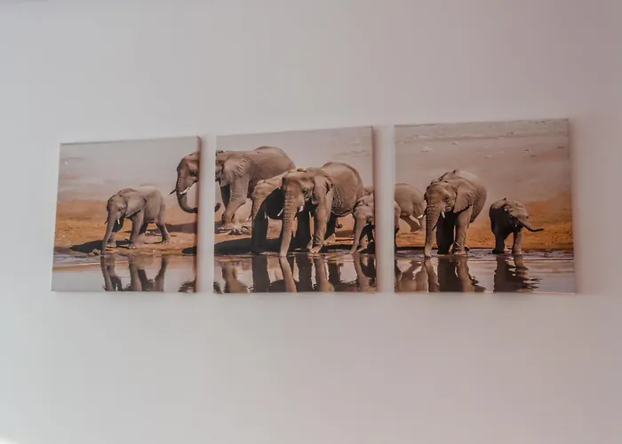 Martins House * Vila Vicosa (Arouca)